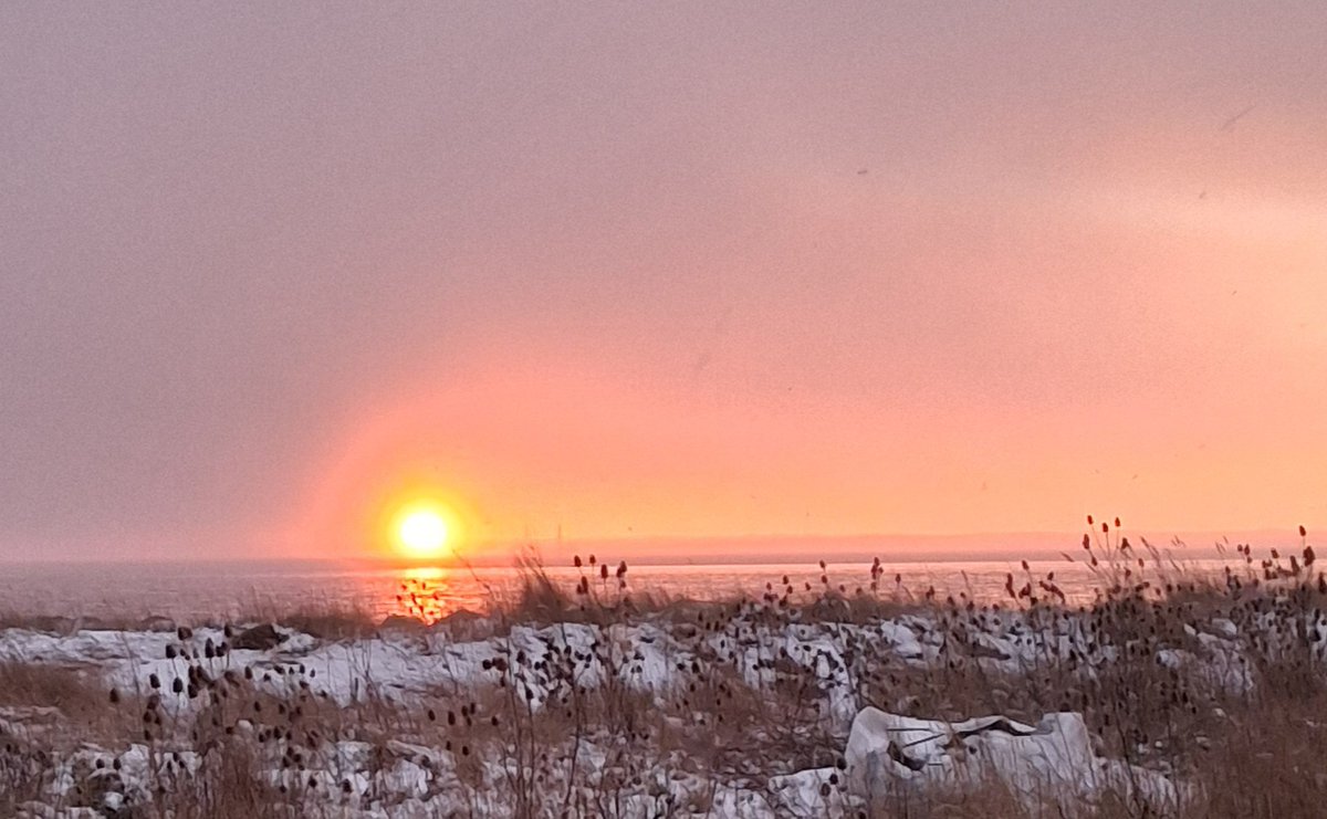 Mark Andrews tweet media