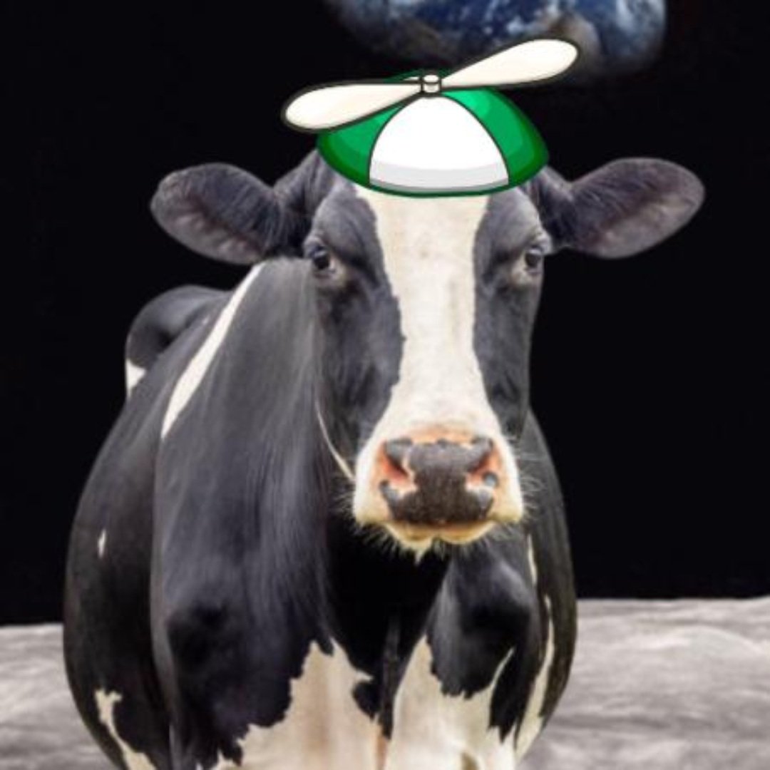 DEVMOBCTO's tweet image. 