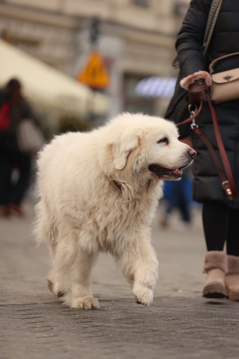 ABInFocus's tweet image. Krakow ~ pl