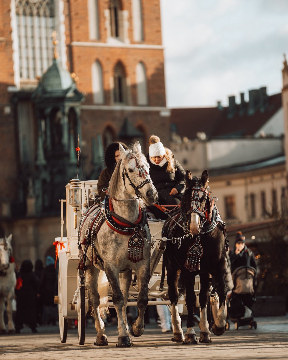 ABInFocus's tweet image. Krakow ~ pl