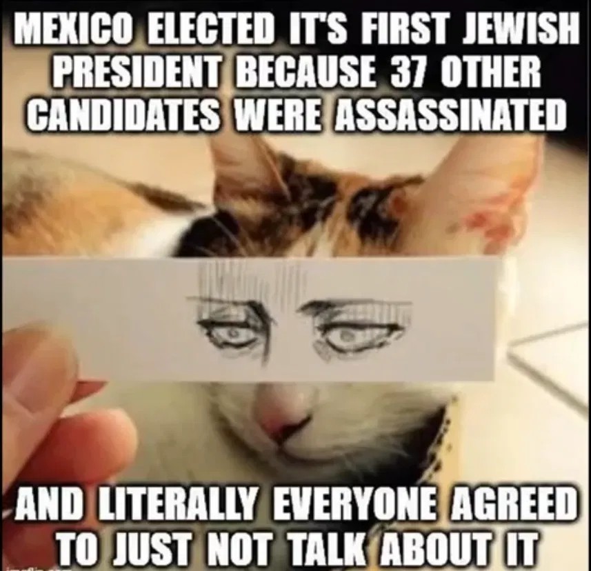 MjWillison's tweet image. 