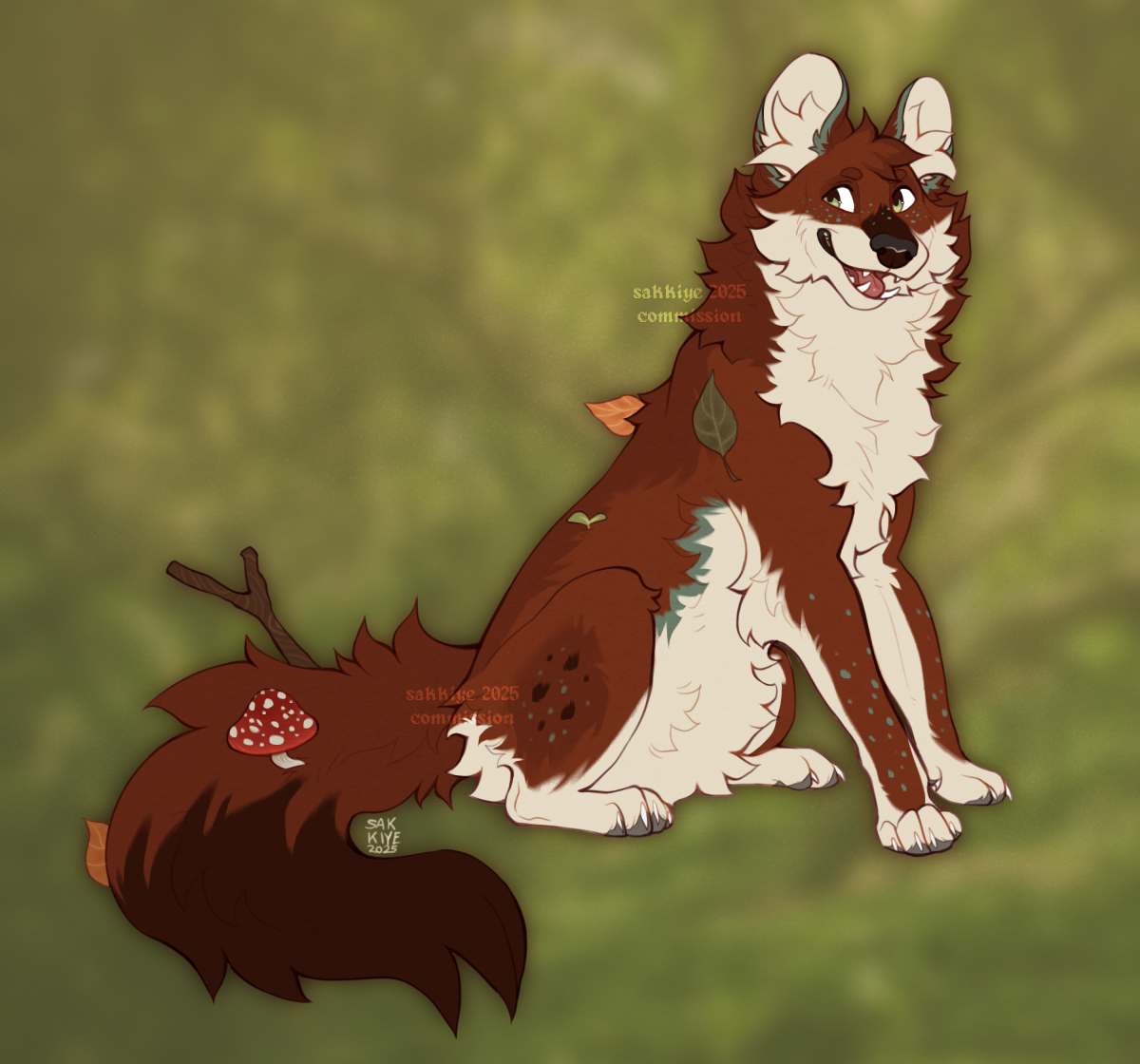 sakkiye_'s tweet image. back from my new years break with the fluffiest dhole you have ever seen