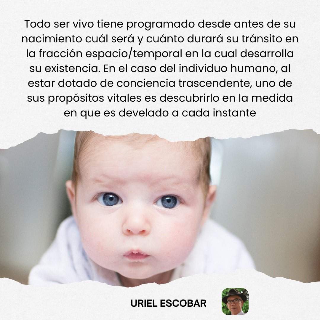 #DescubrirCualEsElPropositoVital #saludyespiritualidad #FelizLunes