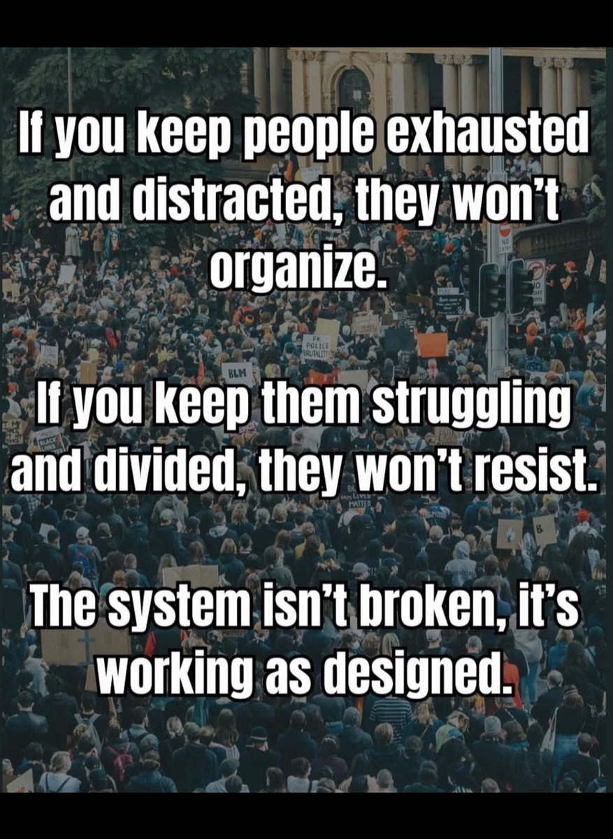 mcsquared34's tweet image. 