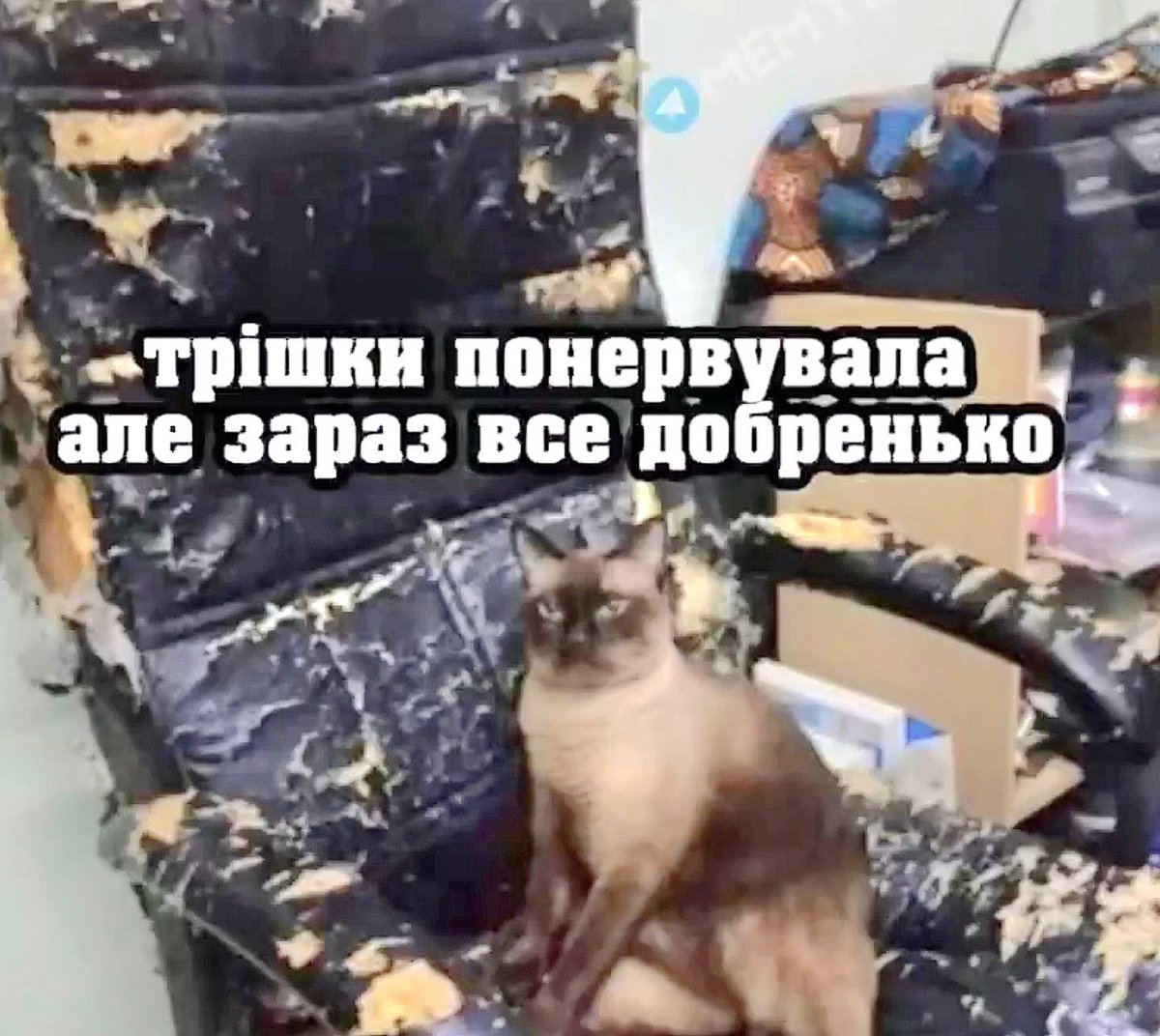 добренько🤌