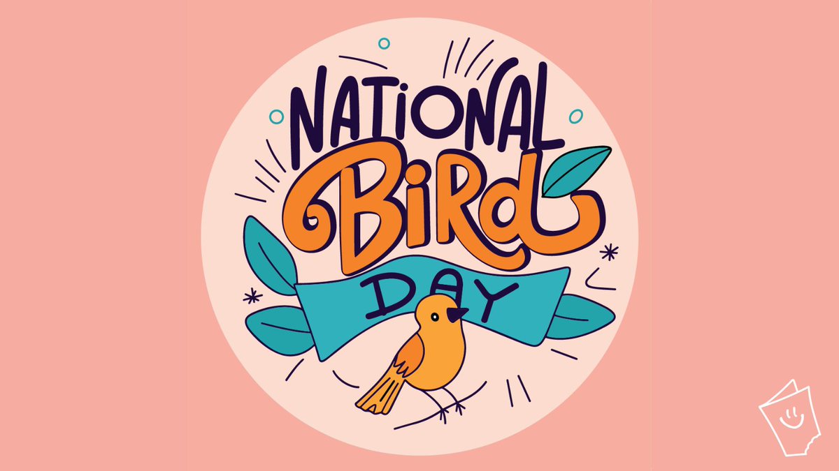 CardSnacks's tweet image. Happy #NationalBirdDay from CardSnacks!🐦
What is your favorite bird species?🦅🦆🦜🦚
Retweet to be entered into our weekly drawing for a 25$ Gift Card of your choice! 🤑💸#Giveaway