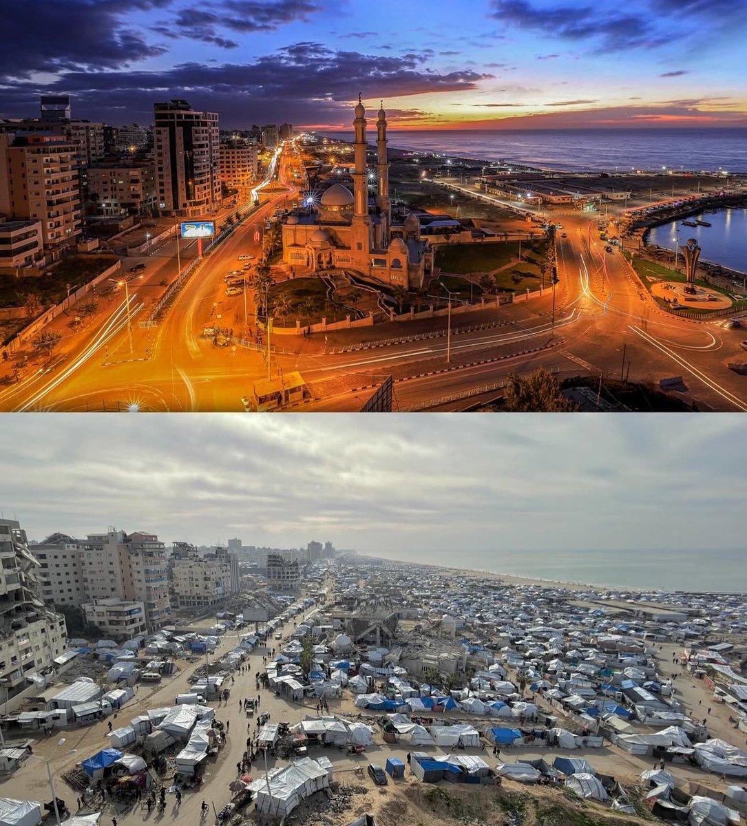 If you see this photo, put a dot to break the algorithm.