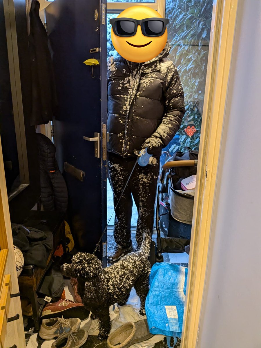 Nina Poodleman tweet media