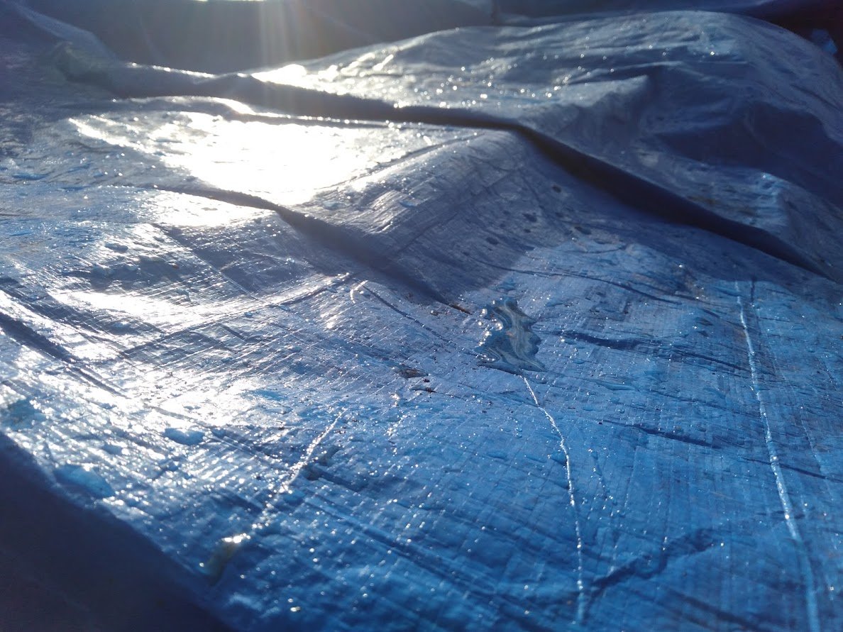 ねる会議 tweet media