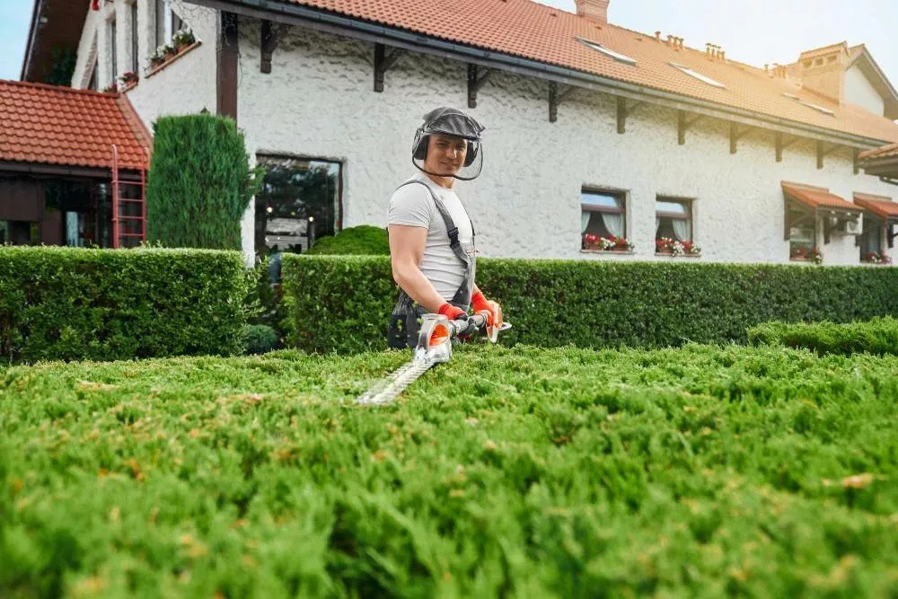 IanCantle2's tweet image. Here's a great January campaign idea: A landscaping business could offer “Year-Round Yard Care” plans with discounted monthly rates for those who commit in January.

Read more 👉 lttr.ai/AmxiC

#MarketingCampaign #Marketing #SocialMediaChallenge