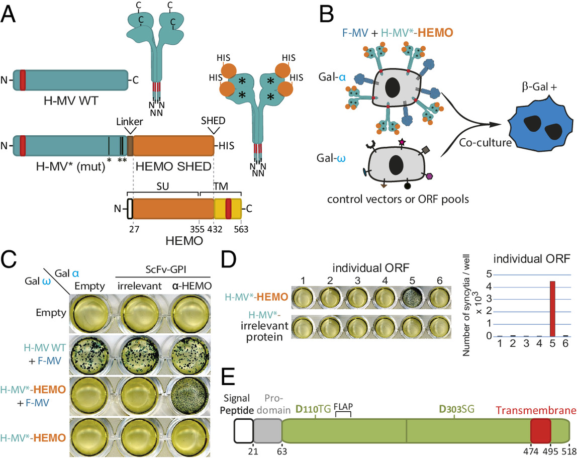 Mobile DNA tweet media