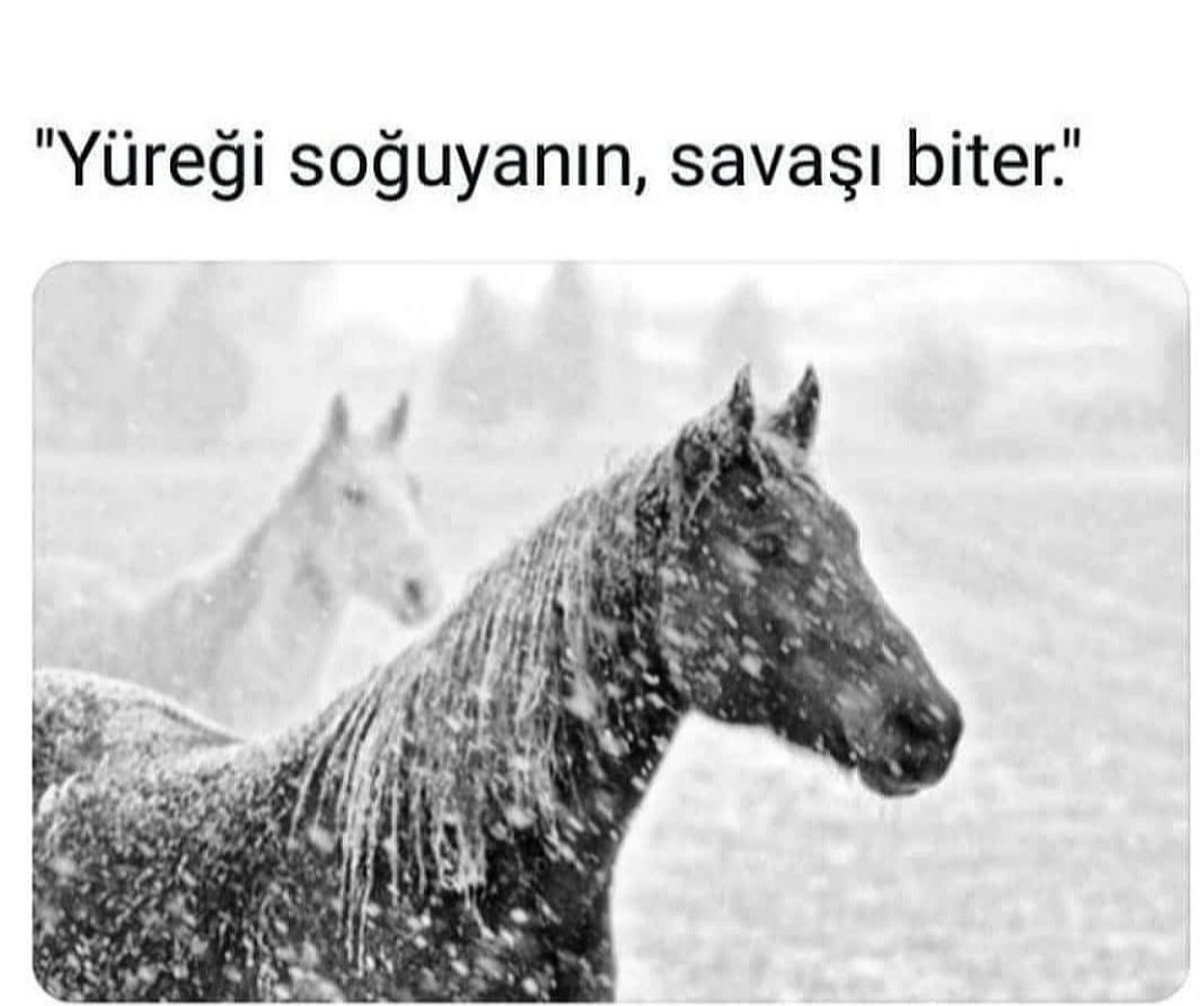 ill Sont Eux (@illsonteuxsair) on Twitter photo 