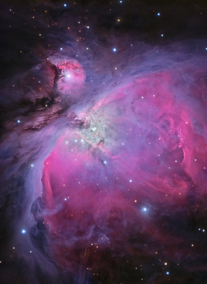 Ethan Roberts tweet media