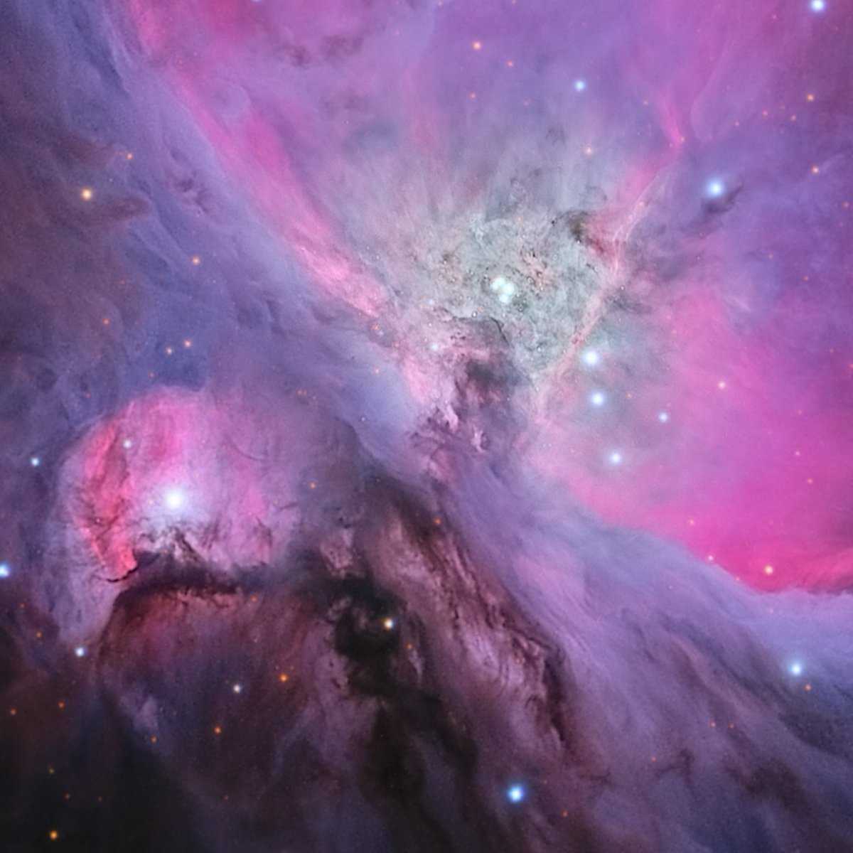 Ethan Roberts tweet media