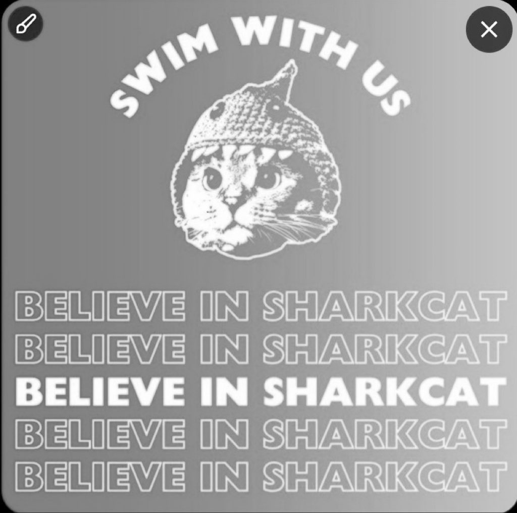 Brett Pedersen🦈🐱 tweet media