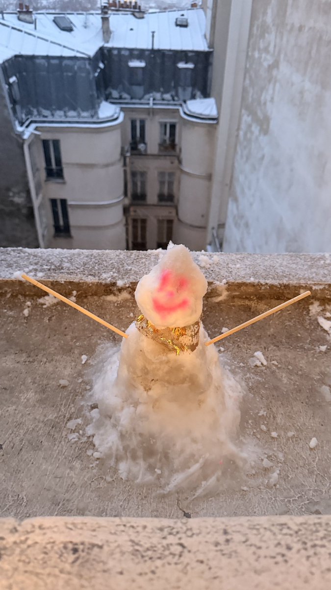 Oui il m’en faut peu pour être heureuse 😅☃️ #neige #Paris