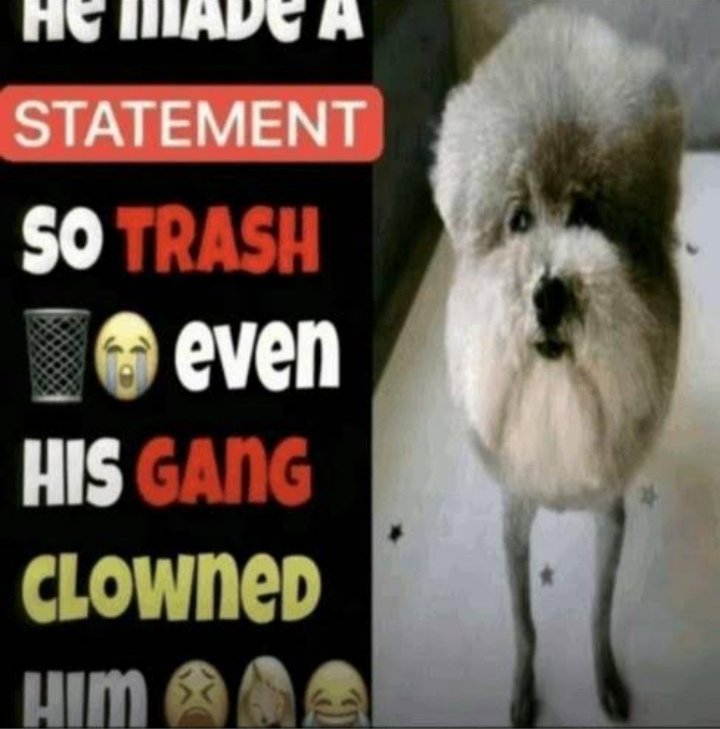 king tweet media