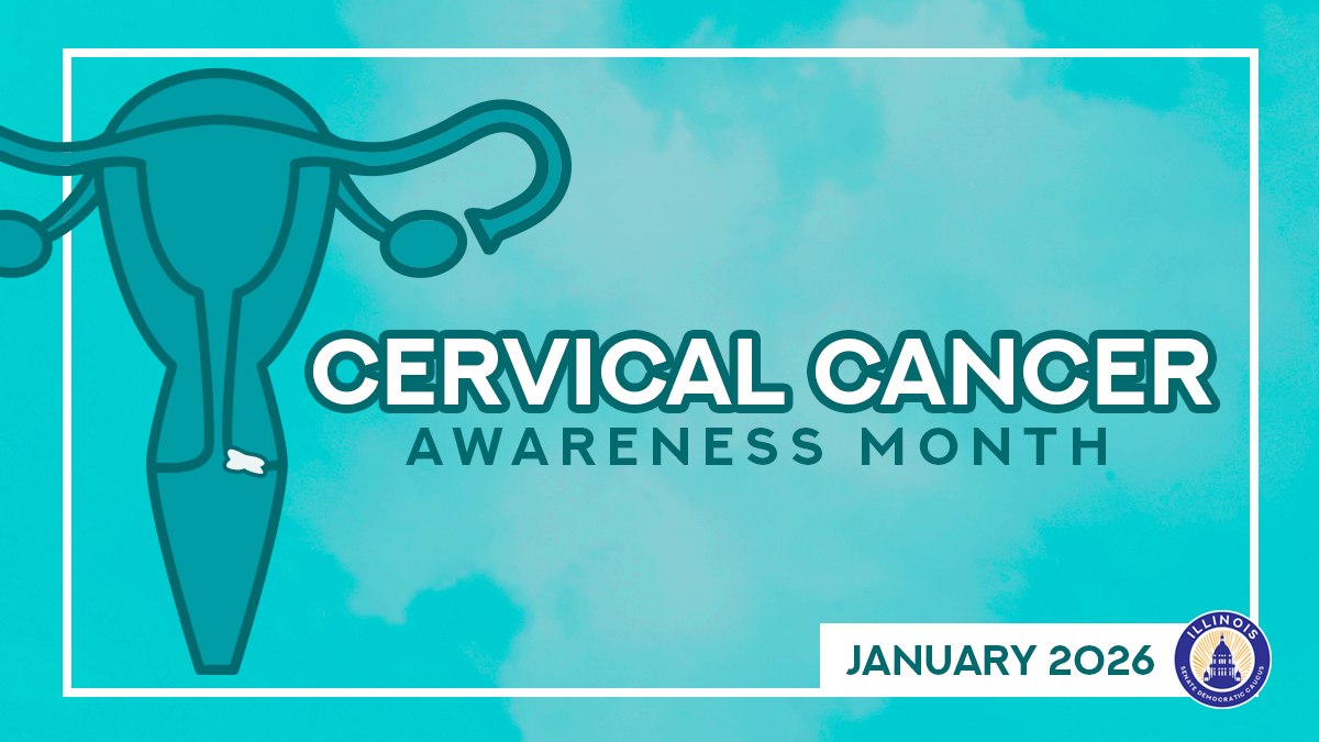 Senator Castro tweet media