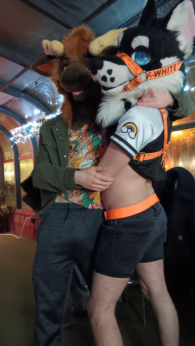 FryoKnight tweet media