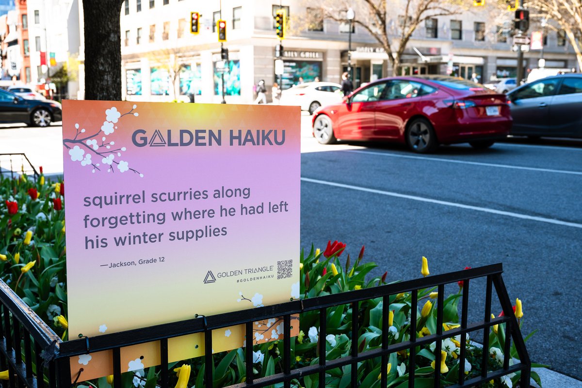 Golden Triangle BID tweet media