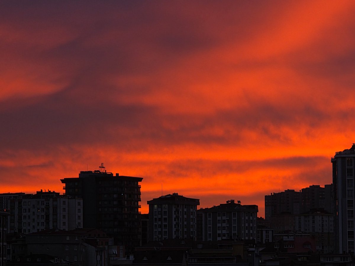 turkishteacher🇹🇷🇵🇱🇵🇸 tweet media