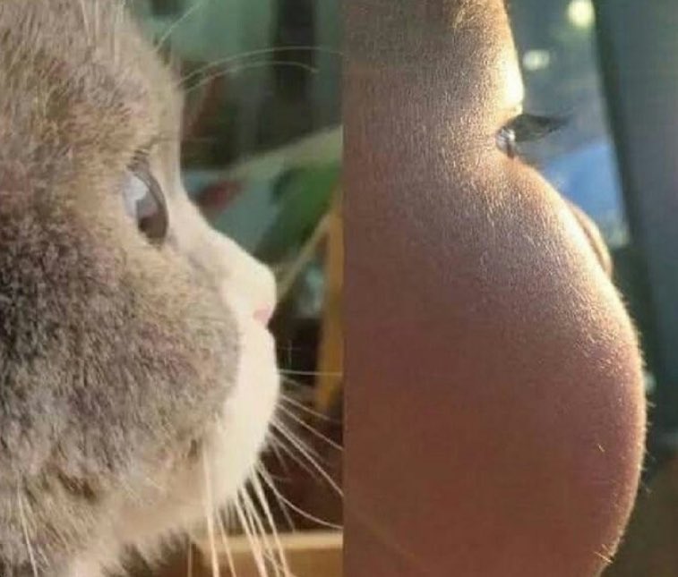 bişey dicem aynısı değil mi