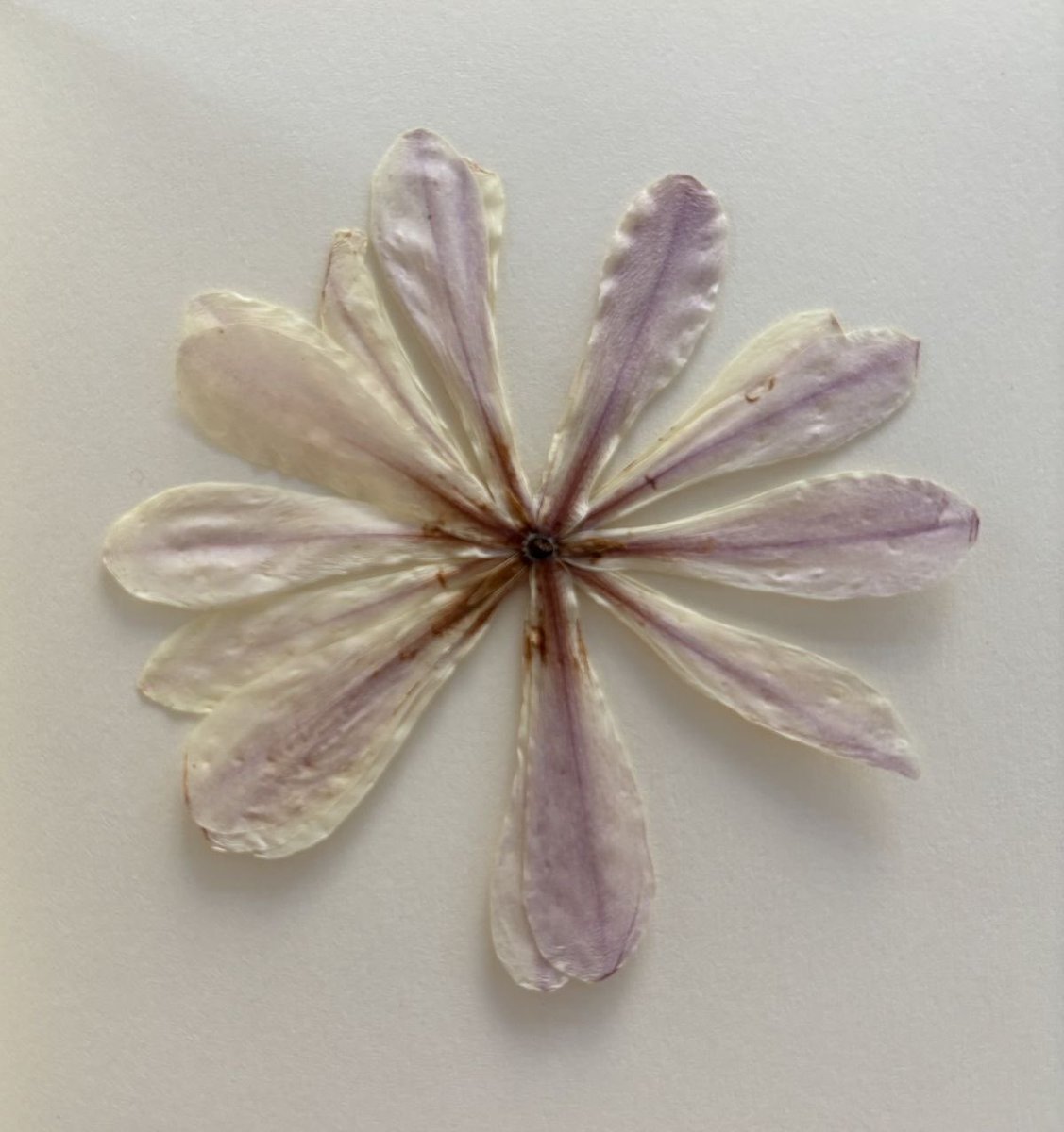 han taesan being a yearner — a thread 🪡