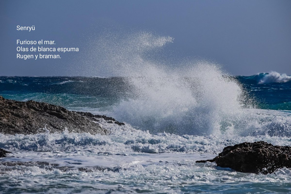 No recanto segredo poesia: Mar furioso poemasnorecantosegredo.blogspot.com/2026/01/mar-fu…

#comparteestepoema #regalapoesía