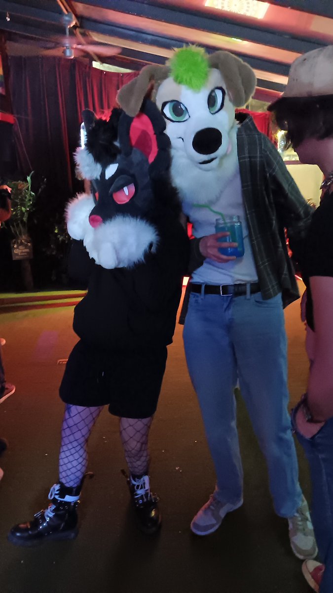 FryoKnight tweet media