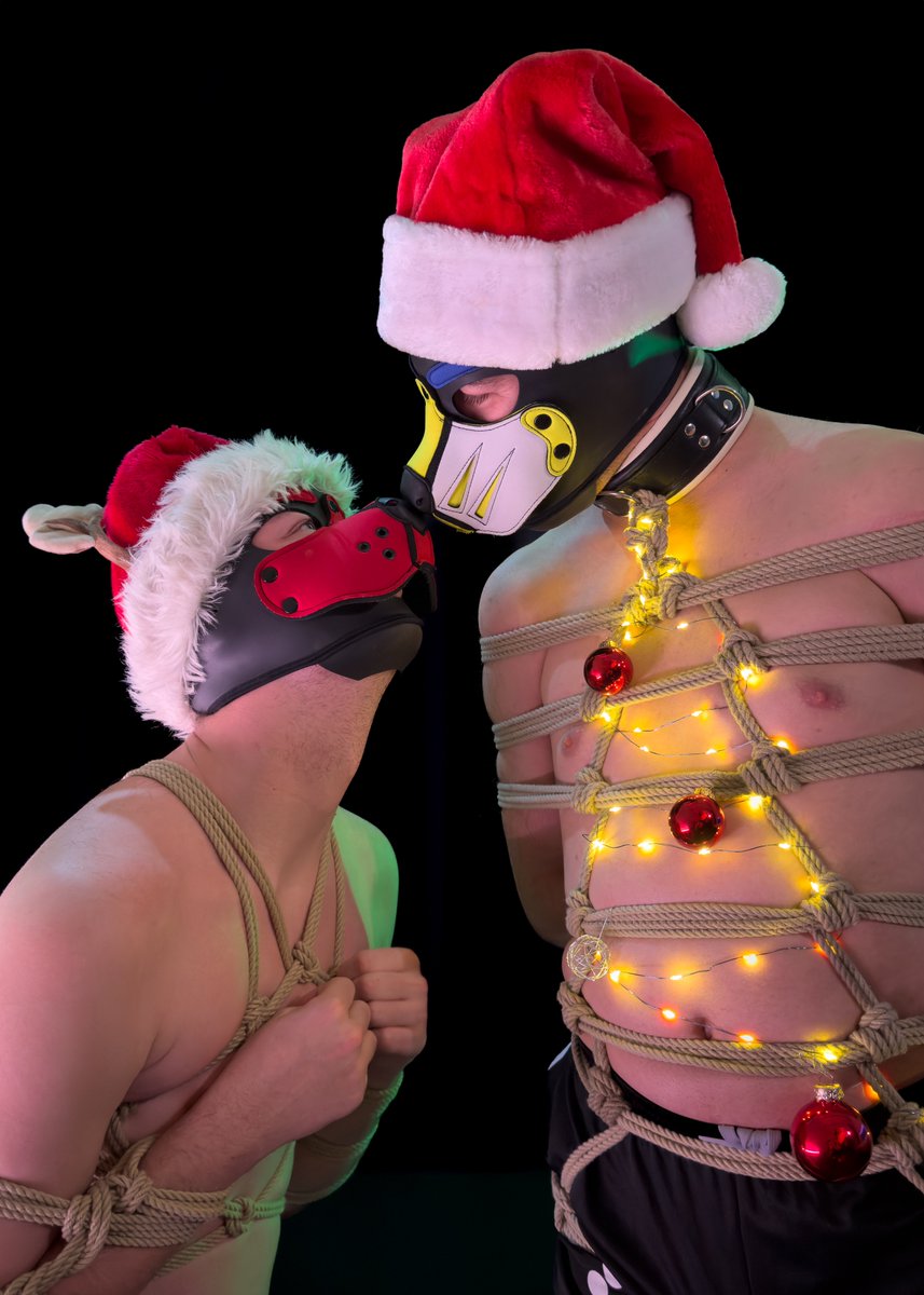 Pupper Finn tweet media