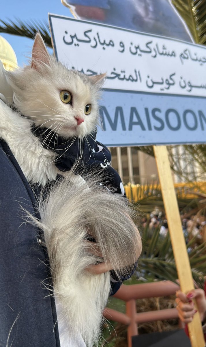 maisoon151's tweet photo. أنا اللي سهرت وهي اللي نامت بس تخرجنا سوا🤍 https://t.co/As7iXNcDIF