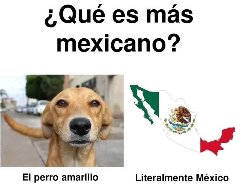 ccmexxas's tweet image. q será