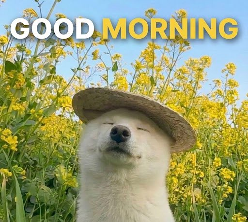 Binance.US 🇺🇸 tweet media