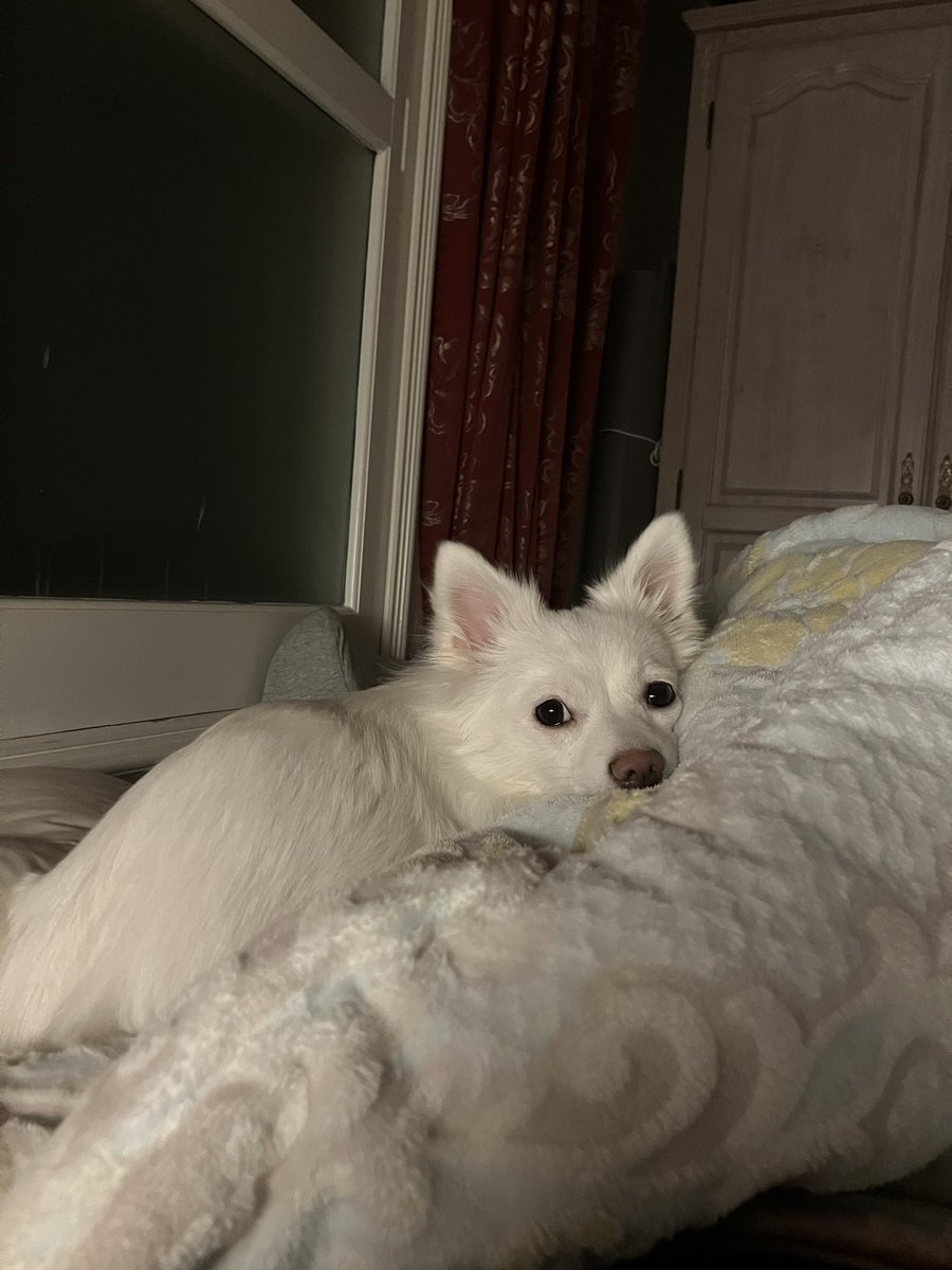 졸리면.. 자라…