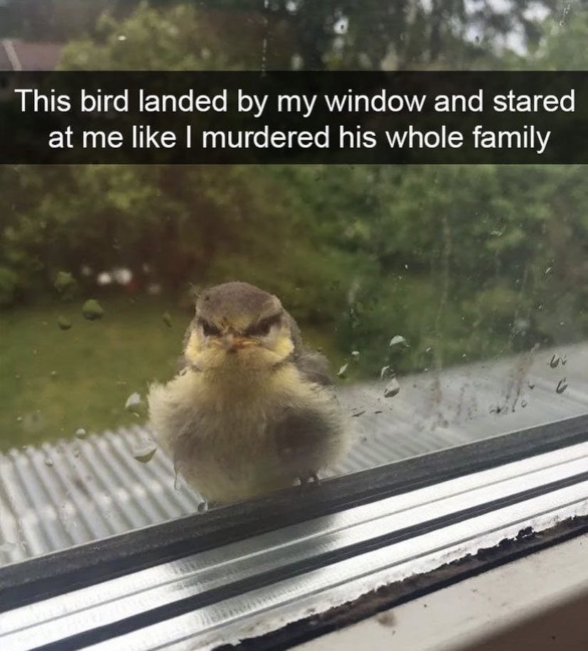 supermenno7's tweet image. 