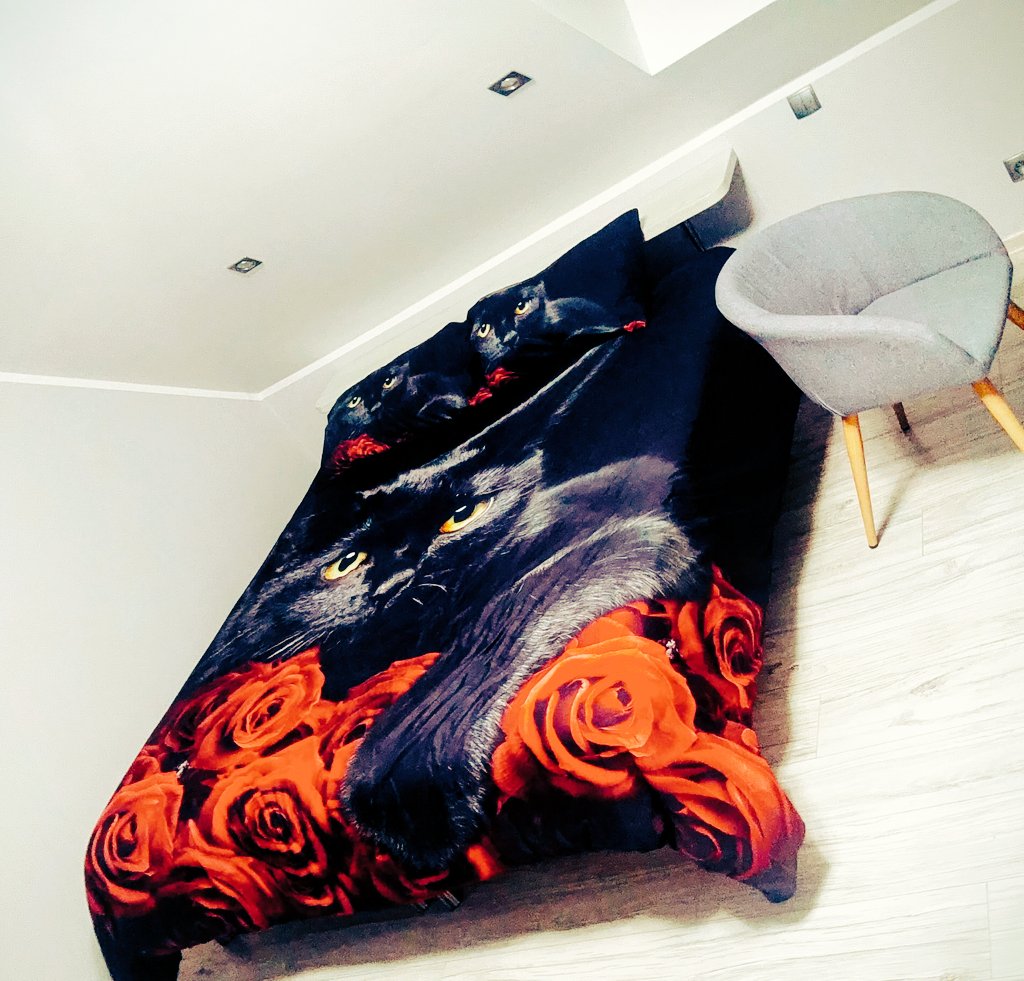 What do you think about sex in a bed like this?