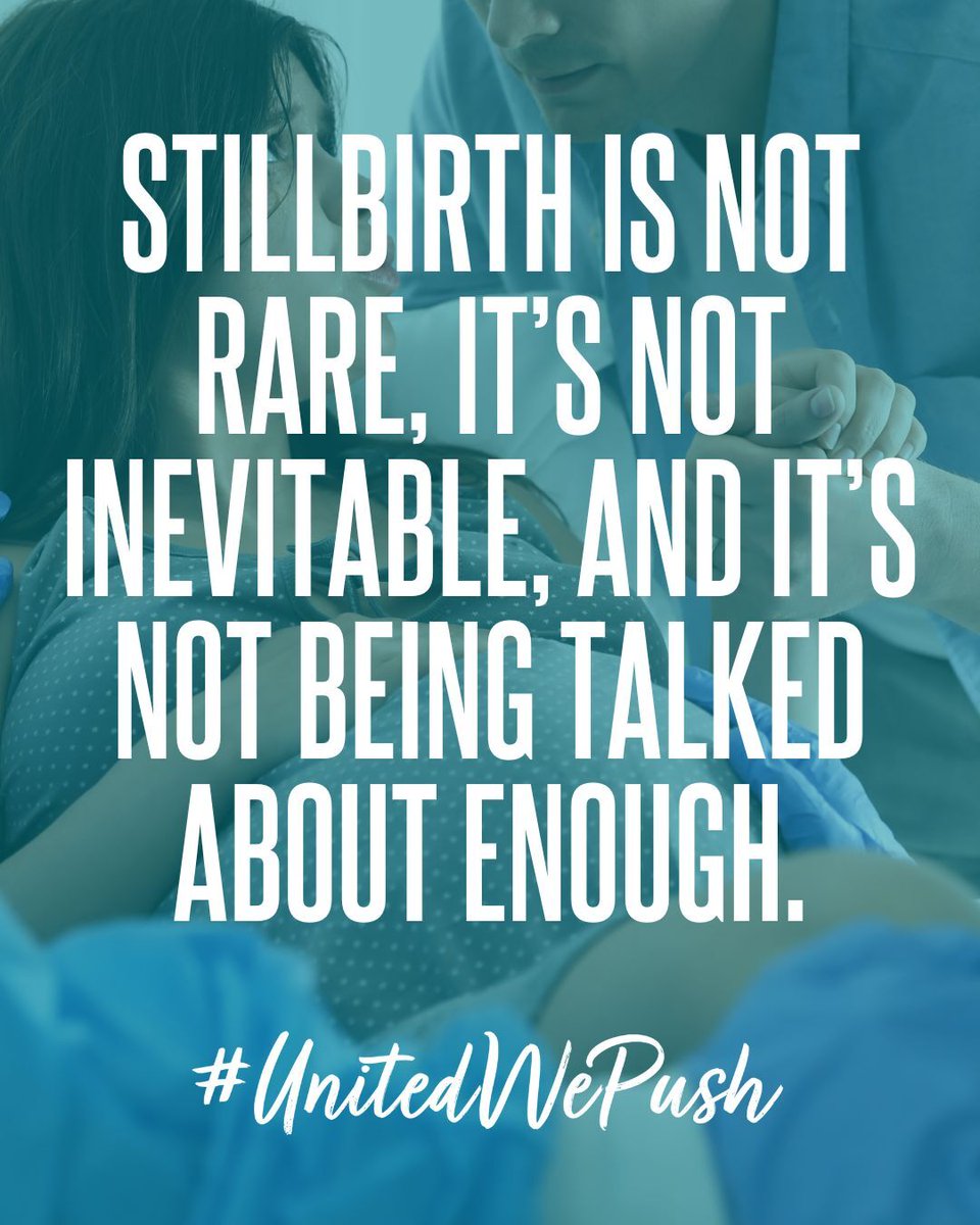 PUSH for Empowered Pregnancy tweet media