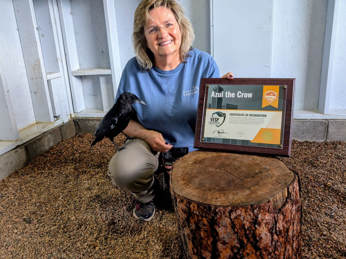 ArizonaDEQ's tweet photo. Have you ever seen a bird recycle? ♻️
Meet Azul (aka The Recycling Bird) at the White Mountain Nature Center! With the help of volunteers, Azul shows off her skills during raptor training shows by dropping items into the recycling bin like a pro.
#ADEQCommunity #NationalBirdDay https://t.co/OMFUl4MzOb