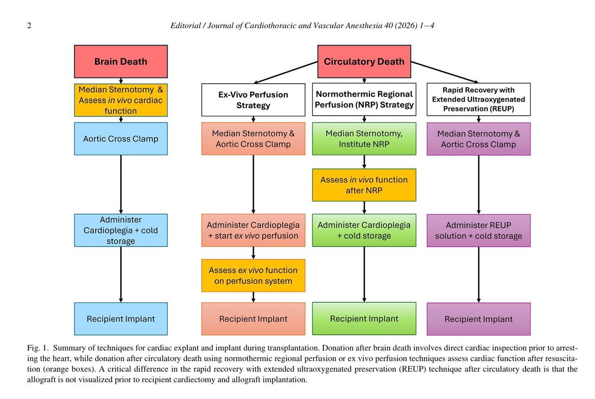 Journal of Cardiothoracic and Vascular Anesthesia tweet media