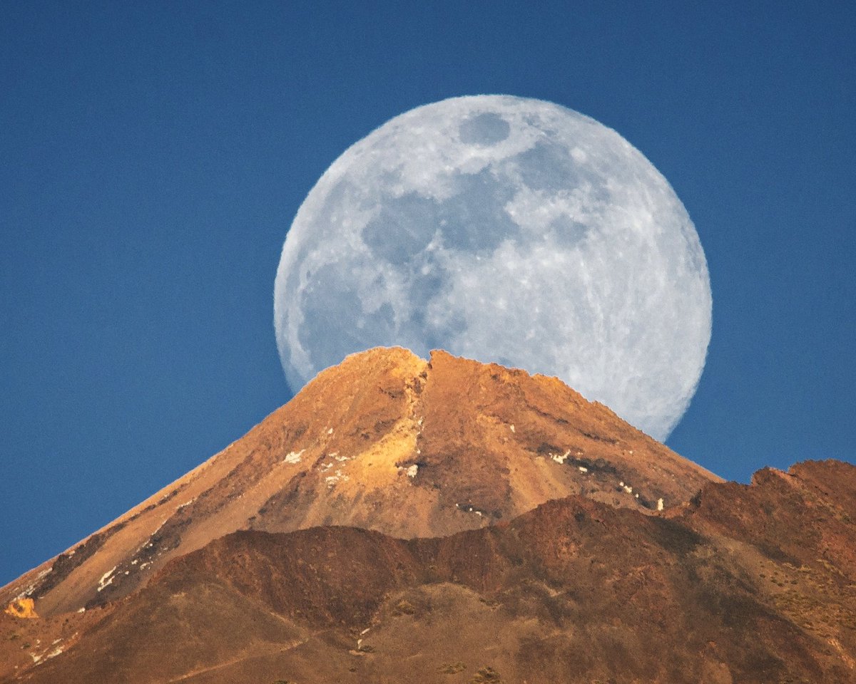 Efrén Yanes tweet media