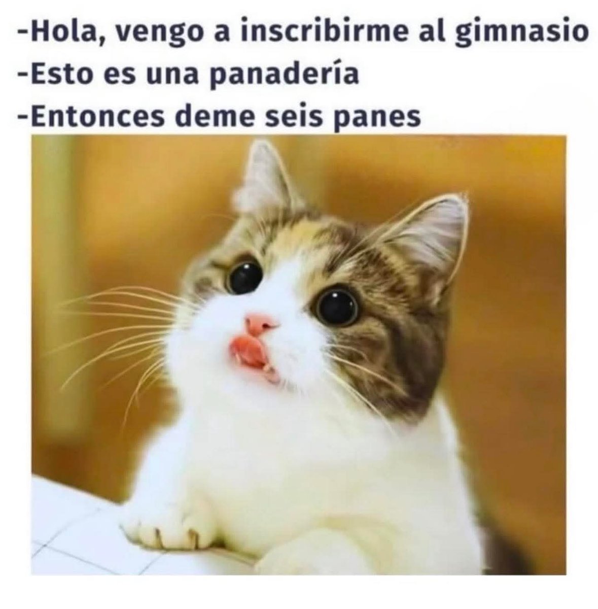 MadreMemestrosa tweet media