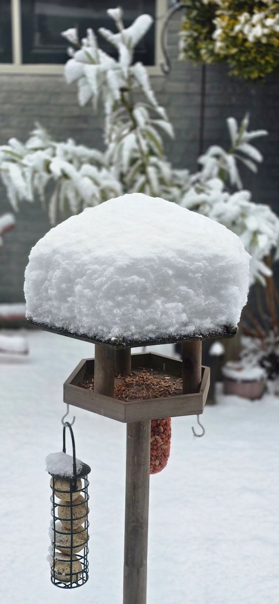 Oke mannen van Nederland en omstreken, hoeveel centimeter sneeuw ligt hier?👇🤔😉