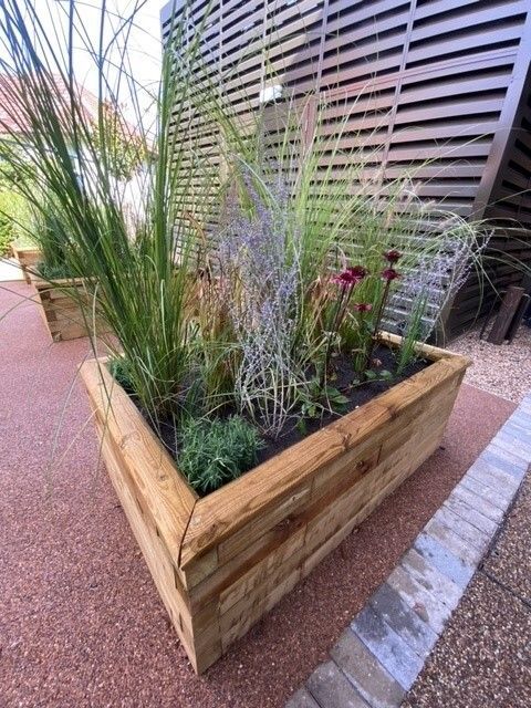 LoF_TMH's tweet photo. The hospital garden has been refreshed, providing a quiet space for patients, staff, and visitors alike.
#HealingEnvironment #GreenSpace #HospitalGarden https://t.co/hn5R7C7fdl