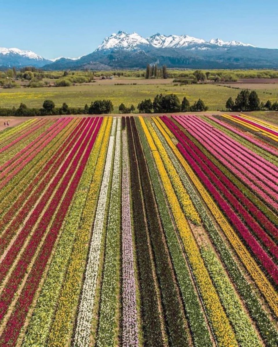 No es Holanda, es Trevelin en Argentina 🇦🇷