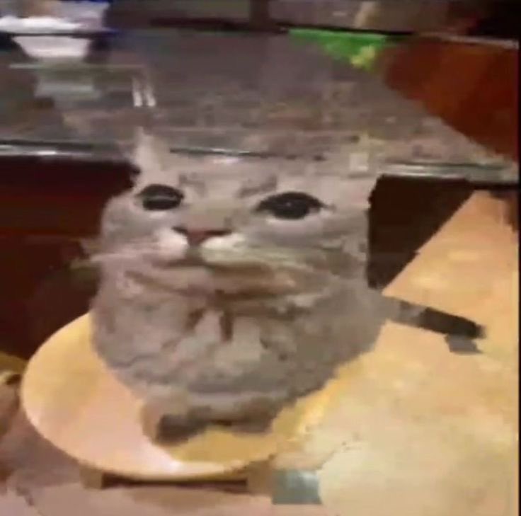 NICK!!1!🍕🔞 OPEN COMMS!! tweet media