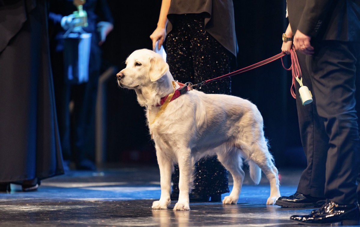 Johnny F Kroneld tweet media