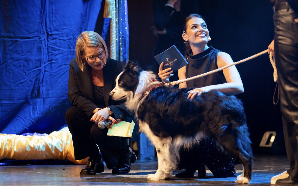 Johnny F Kroneld tweet media