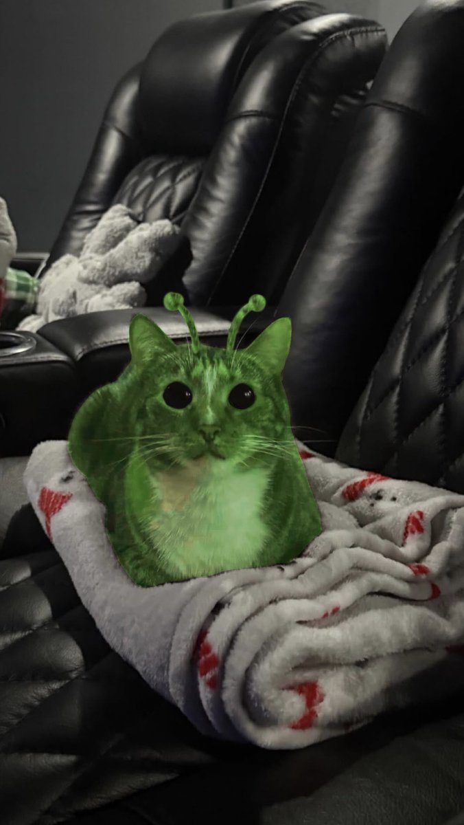 LYNKATcj's tweet image. 