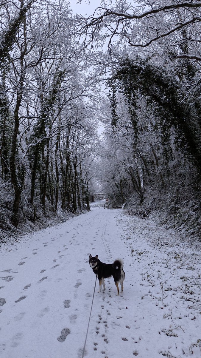 Quentin. tweet media