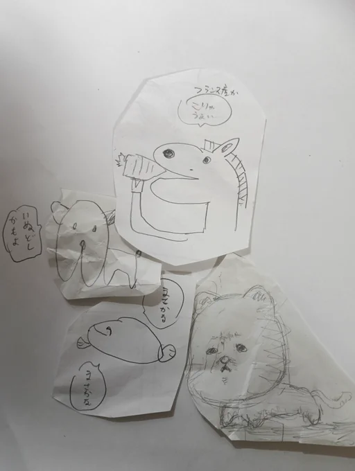 あけましたねおめでとうございます‖
今年は頑張ります🐦 